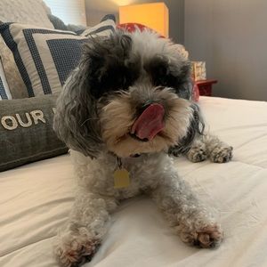 MOVING!!! Must sell all listings!